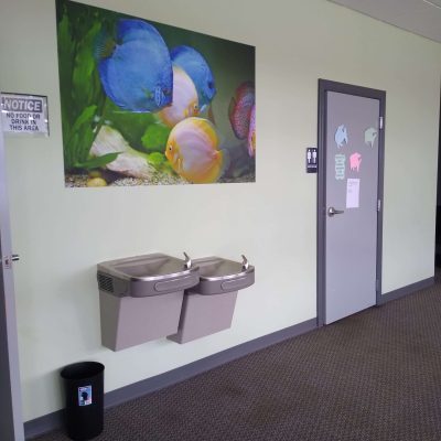 gallery03
